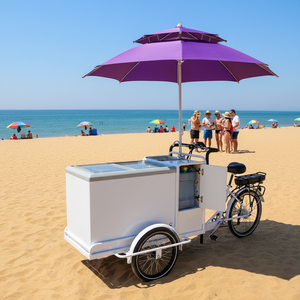 <span class=keywords><strong>Carretto</strong></span> Elettrico a Tre Ruote <span class=keywords><strong>per</strong></span> <span class=keywords><strong>Gelati</strong></span> con Vetrina Refrigerata, Vendita Diretta dalla Fabbrica Cinese - Product Image 6