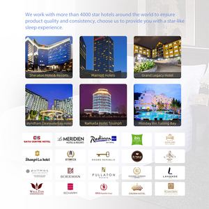 300TC 100% algodón funda nórdica de lujo juego de <span class=keywords><strong>cama</strong></span> 100% juegos de <span class=keywords><strong>cama</strong></span> de algodón blanco Hotel Queen King Size juego de <span class=keywords><strong>cama</strong></span> sábana - Product Image 5