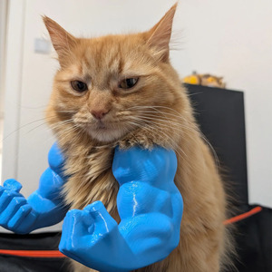 Giocattolo da Collo per Animali Domestici a Forma di Braccio Muscoloso Stile Hulk Stampato in 3D, per Cani di Piccola Taglia, Gioco Interattivo, Accessorio da Appendere, Costume, Ornamento per Gatti e Animali Domestici - Product Image 3