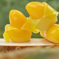 Permen Gummy Mini Halal Berkualitas Terjamin, Dapat Dikupas, Lima Pilihan Rasa Buah Cerah, Tanpa Lemak, Berbahan Dasar Jus Asli, Kemasan Transparan