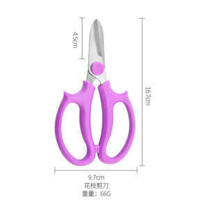 Cisailles à fleurs en acier inoxydable, cisailles <span class=keywords><strong>de</strong></span> jardinage, cisailles pour fleuristes, outils <span class=keywords><strong>de</strong></span> paysagisme et <span class=keywords><strong>de</strong></span> bonsaï, coupe-branches, cisailles à roses - Product Image 2