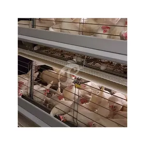 Brooder Layer Cages Manufacturing China Ordinary Type Laying Coop Sample Available Low Price Poultry Layer Cage