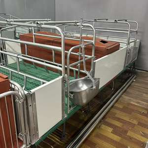 Nuova Gabbia di Parto Tipo H per Suini, Gabbia di Svezzamento in Acciaio al Carbonio Q235, Attrezzatura Agricola con 1 Anno di Garanzia, Modello A62 - Product Image 6