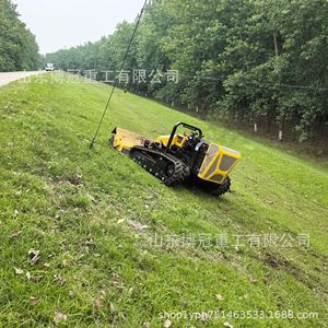 Tondeuse à fléaux télécommandée Hhzh-40 pour terrains en pente, talus routiers et opérations tout-terrain - Product Image 1