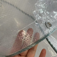 Service de découpe de bâche en polyéthylène transparent renforcé anti-UV pour cerisiers, film de protection agricole en plastique avec œillets renforcés sur les bords