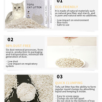 Tofu absorbant chat litière sable OEM 10L usine Premium vente en gros de charbon de bois plante naturelle agglutinable Toufu chat litière