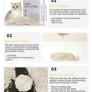 <span class=keywords><strong>Arena</strong></span> absorbente para gatos de tofu, <span class=keywords><strong>arena</strong></span> OEM de 10L, fábrica Premium, venta al por mayor, planta de carbón natural, <span class=keywords><strong>arena</strong></span> para gatos de tofu desechable - Product Image 2