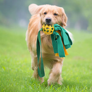 Wholesale Chew Training Interactive Pet <b>Ball</b> Throwing Tug of War <b>Dog</b> <b>Ball</b> <b>Dog</b> Interactive Movement Pet Toys - Product Image 6