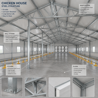 Bâtiment avicole préfabriqué en structure acier, poulailler automatique pour poulets de chair et pondeuses