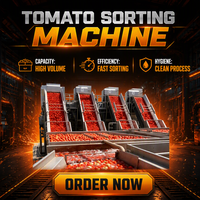 Volledig automatische tomatenpuree productielijn, tomatensausmachine met concentratie-, meng-, sterilisatie- en verwerkingsinstallatie
