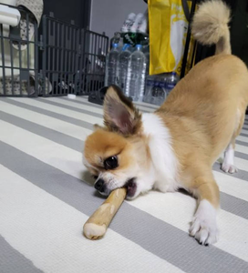 CE Sertifikalı İhracat Standardı Doğal Ahşap Güvenli Evcil Köpek Çiğneme Çubuğu Dayanıklı Kahve Ağacı Köpek Çiğneme Oyuncağı - Product Image 2