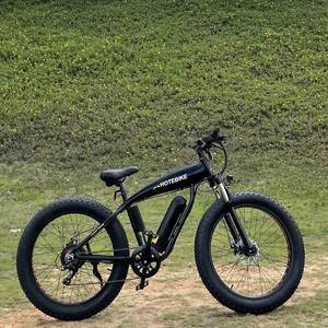 Vélos électriques D1 <span class=keywords><strong>Pocket</strong></span> <span class=keywords><strong>Bike</strong></span> électrique 48V 500W 750W 10AH 13AH Moto tout-terrain électrique - Product Image 4