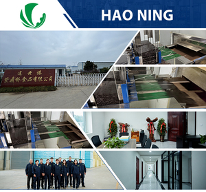 Snack <span class=keywords><strong>d</strong></span>'algues grillées personnalisé 50 feuilles Service de commande en gros en marque privée - Product Image 6