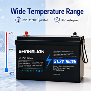 Batterie LiFePO4 51,2 V 100 Ah 5120 Wh, batterie au phosphate de fer et de lithium avec BMS intelligent pour le stockage d'énergie solaire - Product Image 5
