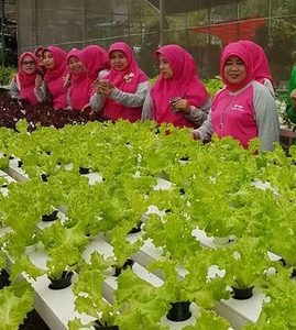 Petit et grand tube hydroponique en <span class=keywords><strong>PVC</strong></span> pour serre agricole, hangar en plastique, couverture de feuille de PC, <span class=keywords><strong>gouttière</strong></span> carrée NFT pour usage végétal, stable - Product Image 5