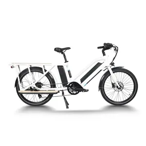 Greenpedel yüksek hızlı 750w fırçasız göbek motoru 6 hız freewheel elektrikli kargo bisikleti