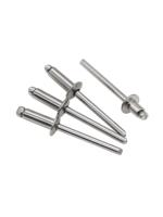 Rivets aveugles à tête ronde DIN 7337 haute durabilité en acier/acier inoxydable pour assemblage de tôles, armoires et véhicules