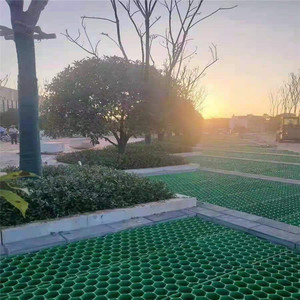 <span class=keywords><strong>Rejilla</strong></span> <span class=keywords><strong>para</strong></span> Césped de Estacionamiento, Acceso <span class=keywords><strong>para</strong></span> Camiones de Bomberos, Pasarela, <span class=keywords><strong>Patio</strong></span> de Juegos, Jardín en la Azotea, Pavimentación, Ladrillos <span class=keywords><strong>para</strong></span> Césped, <span class=keywords><strong>Patio</strong></span>, Camino, Tablero de Drenaje - Product Image 3