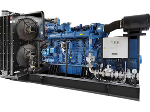 مولد كهرباء يعمل بالغاز الطبيعي بقدرة 100 كيلوواط و200 كيلوواط و300 كيلوواط و500 كيلوواط و1000 كيلوواط، معدات طاقة عالية الكفاءة تعمل بالكتلة الحيوية والغاز الحيوي للتشغيل المستمر - Product Image 1