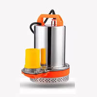 Incroyable Mini pompe à eau submersible à brosse 12v 370w ZQB DC Connecter avec panneau solaire ou batterie
