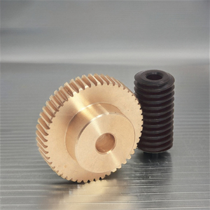 CNC OEM/ODM đồng thép quay spur Worm Gear truyền Worm Gear Trục kim loại truyền trục bánh răng - Product Image 2