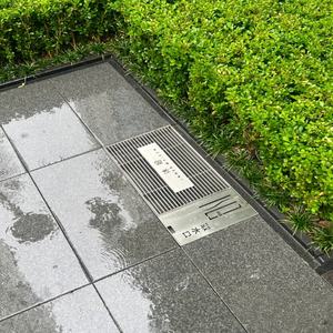 304 및 316 스테인리스 스틸 맨홀 커버 및 프레임, 공공 광장의 장식용 맨홀 커버에 적합하며, 맞춤 제작 가능합니다. - Product Image 3