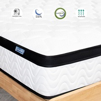 OEM Moderne Hybrid-Matratze Queen-Size Euro-Top Gel-Memory-Schaum 5-Zonen Taschenfederkern Infrarot-Ummantelung 10 Zoll Dick Schule