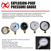 Radial Mount Bourdon Tube Pressure Gauge Electroplated Steel Case Brass Connection 2.5% Accuracy for Industrial Air Compressor