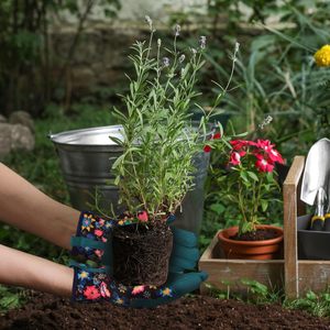 <span class=keywords><strong>Gants</strong></span> de jardinage en cuir ergonomiques unisexes les plus vendus, imperméables et résistants aux coupures pour une utilisation en extérieur - Product Image 3