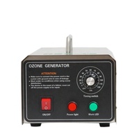Générateur d'ozone HANSTAT de haute qualité 20G, machine à ozone domestique, plaque en acier 304, mini stérilisateur d'ozone portable pour voiture, purificateur d'air
