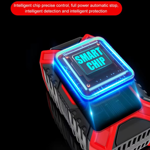 TK-300 E-FAST caricabatteria per moto caricabatteria per <span class=keywords><strong>Auto</strong></span> caricabatteria per <span class=keywords><strong>Auto</strong></span> carica completa arresto automatico 12V - Product Image 3