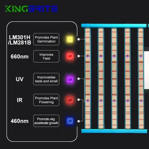 Led Grow Light Dimmable 3800PCS Diodes Shenzhen KingBrite Lighting 1000W LM301H/LM281B+660nm+UV IR +Blue King Brite LED Grow Light Qauntum Bar