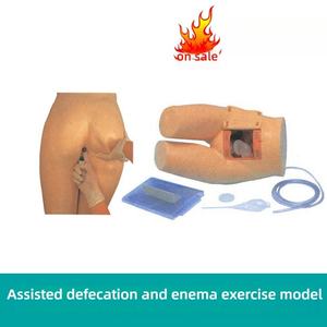 Mannequin médical de simulateur d'examen anorectal en PVC pour la <span class=keywords><strong>formation</strong></span> d'infirmière et d'hôpital aidant la <span class=keywords><strong>formation</strong></span> de lavement de défécation - Product Image 2