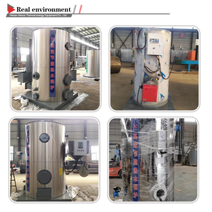 <span class=keywords><strong>Caldera</strong></span> de vapor de <span class=keywords><strong>pellets</strong></span> de biomasa de <span class=keywords><strong>leña</strong></span> de carbón vertical pequeña CLSG - Product Image 3