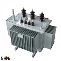 Transformateur immergé dans l'huile à usage intensif pour les installations industrielles et les applications à forte charge Haute capacité HV/MV 50/60Hz 98% d'efficacité