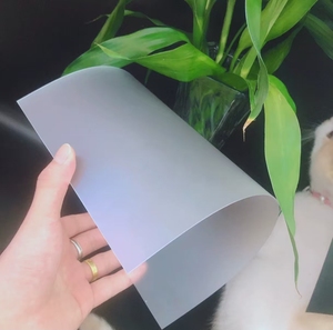 Matte trong suốt <span class=keywords><strong>PC</strong></span> CuộN tấm - Product Image 6