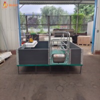Cage de maternité pour truies, enclos de maternité pour porcs, équipement d'élevage porcin pour projets d'élevage de porcs, fournisseur OEM ODM