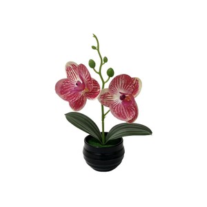 Orquídea Phalaenopsis Artificial Paulon de 18 cm de Altura, Planta en Maceta de Plástico Suave para Decoración del Hogar y Accesorios de Fotografía - Product Image 5