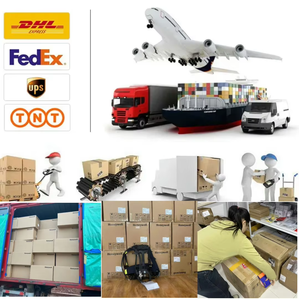 حاضنة كيميائية حيوية للمختبرات ذات درجة حرارة ثابتة وتسخين كهربائي، بطانة داخلية من الفولاذ المقاوم للصدأ عالية الدقة - Product Image 6