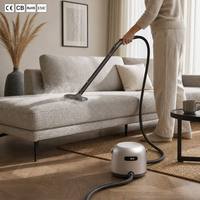 Nettoyeur vapeur portable certifié CE, puissant, pour taches humides/sèches, maison, voiture, poils d'animaux, tapis, nettoyeur vapeur pour taches