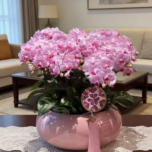 <span class=keywords><strong>Vaso</strong></span> per orchidee rosa, fioriera per orchidee per decorazioni interne, <span class=keywords><strong>vaso</strong></span> per fiori per soggiorno - Product Image 3