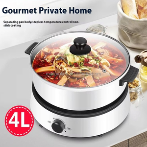 Poêle électrique antiadhésive double face 4L Couvercle en verre à haute teneur en silicone Contrôle multi-puissance Caractéristiques d'économie d'énergie pour les ménages américains - Product Image 2