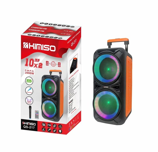 RGB Light Plastic Battery 10-Inch for Speaker Subwoofer Wireless Microphone USB Trolley Big Sound System