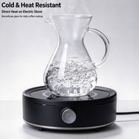 Ensemble de cafetière à filtre manuelle, cafetière en verre résistant à la chaleur avec filtre en maille métallique, bouilloire à eau froide et chaude pour la cuisine