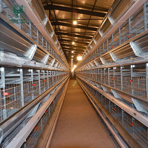 JUXIN hayvan ve kanatlı hayvancılık ekipmanları H tipi pil kafesi tavuk kümesi tavuk kafesleri katman - Product Image 2