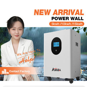 フロアホームLifepo4バッテリー8000サイクル51.2V 10kWh 30kWhリチウムイオンバッテリー壁に取り付けられた家の太陽エネルギー貯蔵バッテリー - Product Image 3