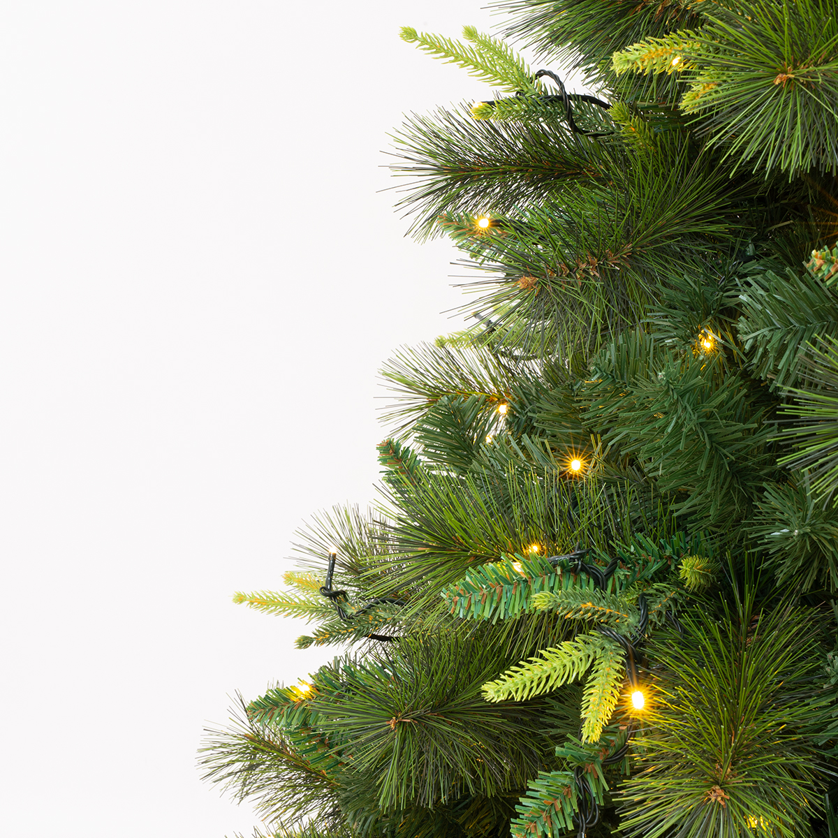 christmas tree cashmere pine