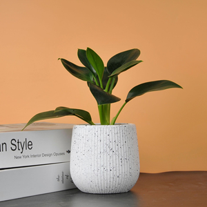 Fleid Contemporary Floor Vase-Lightweight Durable Polyethylene Eco-Friendly Reusable Fade Resistant Unbreakable Wide Mouth - Product Image 5