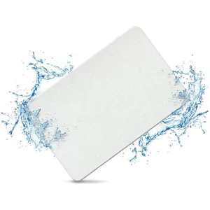 FIGOO Absorb Quickly Diatom Stone Soil Mat Wholesale Eco-friendly Diatom Stone Bath Mat