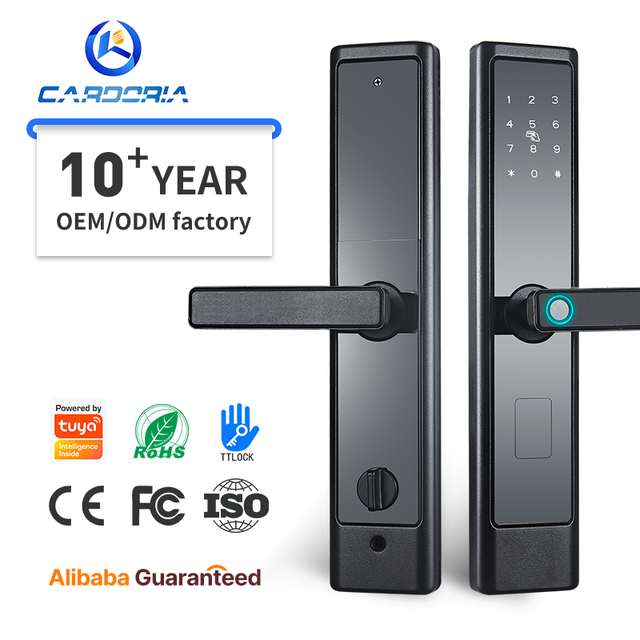 Smart Home Tuya WiFi App Anti-theft Door Lock Electric Digital Finger Print Keyless TTLOCK Mobile Smart Door Handle Lock